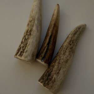 Набір рогів оленя  lucky dogs розмір XS